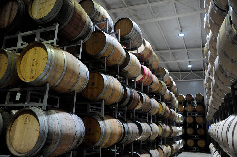 Panamá será plataforma para reexportar vinos de Mendoza a través de la Zona Libre de Colón