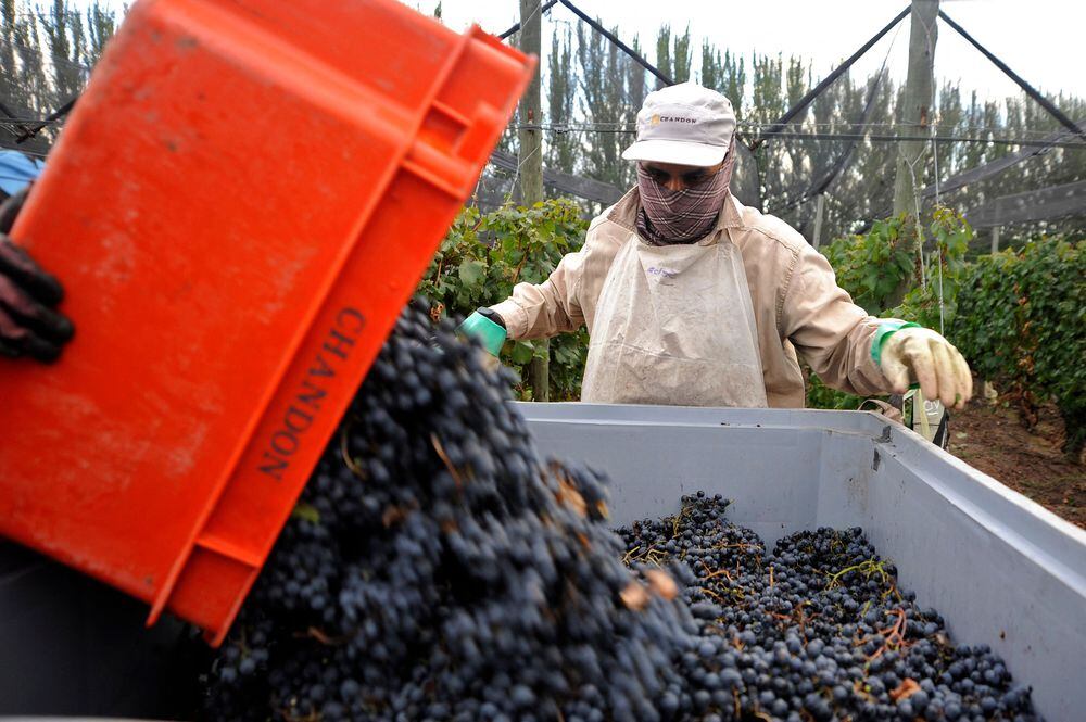 Panamá será plataforma para reexportar vinos de Mendoza a través de la Zona Libre de Colón
